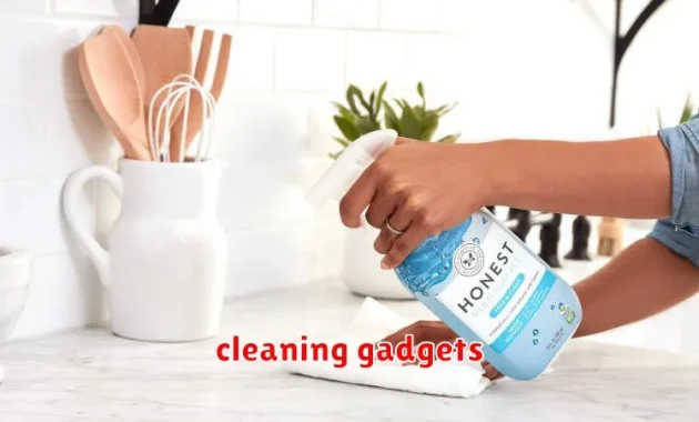 cleaning gadgets