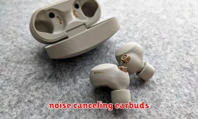 noise canceling earbuds