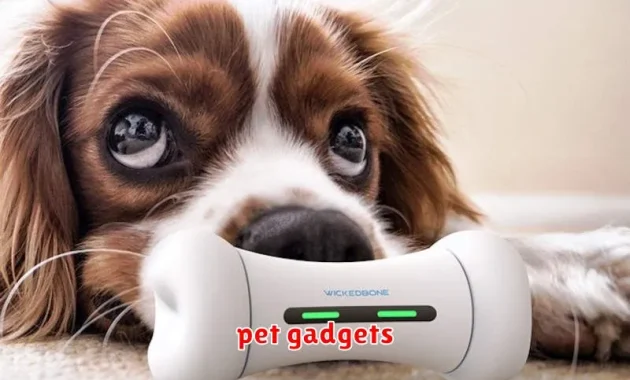 pet gadgets